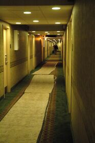 DSC_3043.jpg