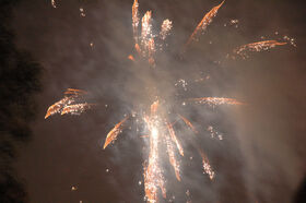 DSC_0526.jpg