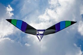 Afternoon Kiting (2011)