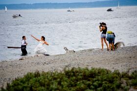 There were some people having a wedding that decid.jpg