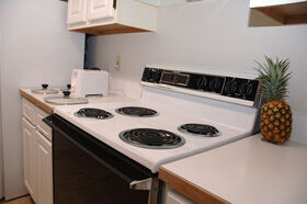 DSC_1040.jpg