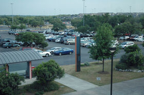 DSC_0733.jpg
