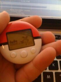4153 steps since yesterday.jpg
