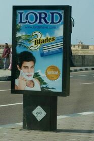 It seems like three bladed razors are a gimmick ev.jpg