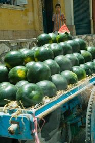 Watermelon cart pulled by a donkey.jpg