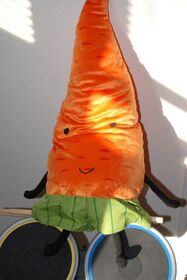 Mr Carrot likes the sunlight in Seattle.jpg