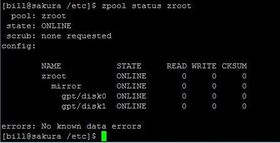 Yay, ZFS mirroring on FreeBSD set up at home I eve.jpg