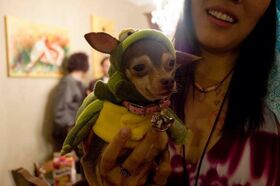 My heart goes out to this poor dog, forced to wear.jpg