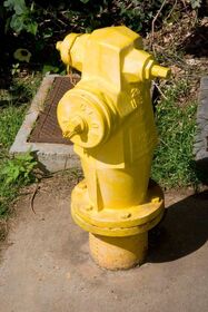 Fire hydrants and trucks are both yellow in Hawaii.jpg