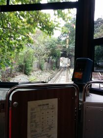 IMG_20140310_123813.jpg