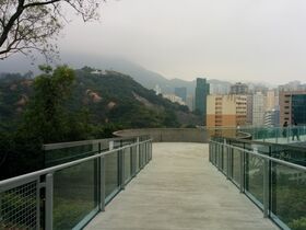 IMG_20140311_165131.jpg
