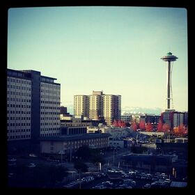 2012-11-26_1353966440.jpg