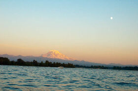 DSC_2619.jpg