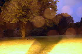 DSC_2091.jpg