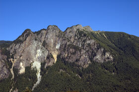 DSC_2461.jpg