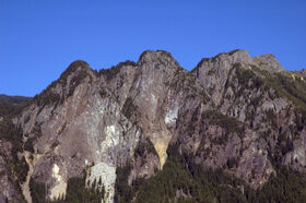 DSC_2463.jpg