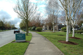 microsoft_trip_0011.jpg