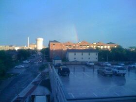 Spot the rainbow.jpg
