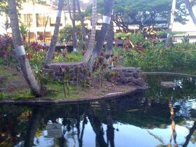 Any airport with a koi pond is okay in my book.jpg