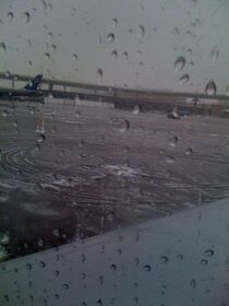 DFW Winter Wonderland.jpg