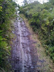 Manoa Falls, HI.jpg