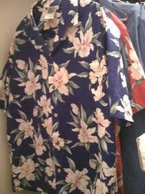 My lazy Hawaiian shirt button repair looks better.jpg