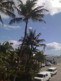 Woo, made it to Hawaii.jpg