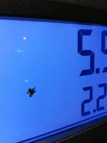 There was a spider hiding inside the gas pump at m.jpg