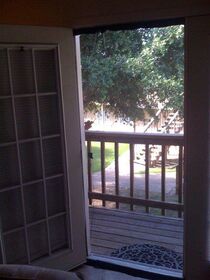 This cheap instant screen door from Walmart actual.jpg