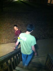 Tristan s back now has a swan head.jpg