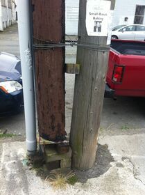 Telephone pole hack spotted in my neighborhood.jpg