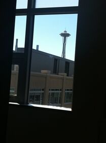 View out my window at Amazon.jpg