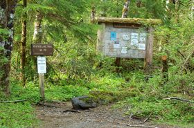 Mt. Pilchuck (2008)