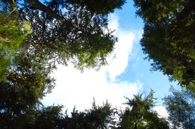 DSC_9811.jpg