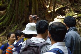 DSC_9816.jpg