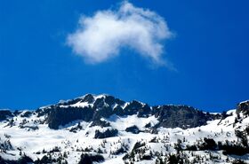 DSC_9927.jpg
