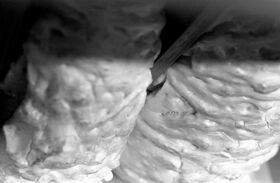 Expanding foam display.jpg