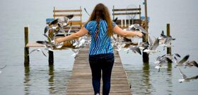 Seagulls and Hummingbirds (2011)