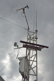 DSC_7399.jpg