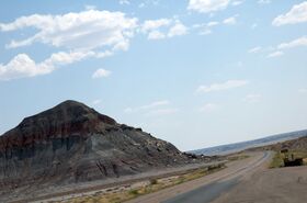 DSC_7683.jpg