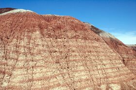 DSC_7685.jpg