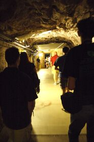 DSC_7803.jpg
