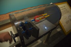 DSC_7832.jpg