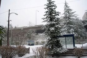 Seattle Snow (2012)