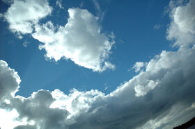 DSC_1203.jpg