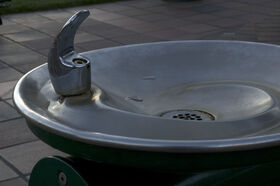 DSC_2249.jpg