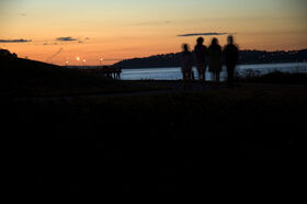 DSC_2333.jpg