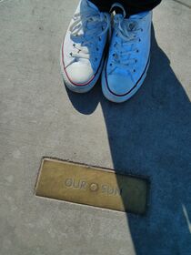 IMG_20130209_103702.jpg