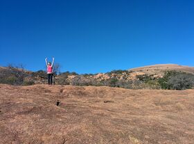 IMG_20131215_134335.jpg