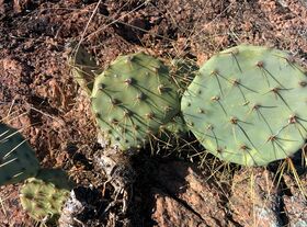 IMG_20131215_134433.jpg